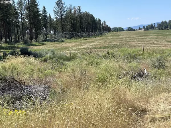 Chiloquin, OR 97624,S. Chiloquin Road #100