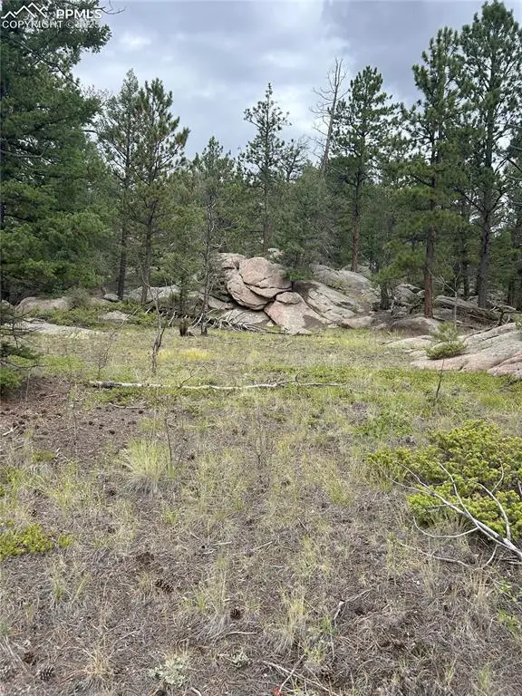 155 County Road 403, Florissant, CO 80816