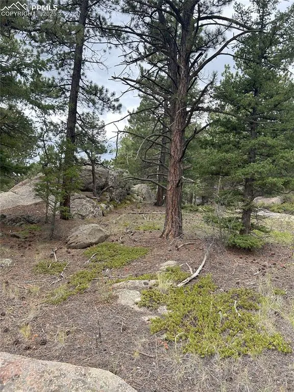 155 County Road 403, Florissant, CO 80816