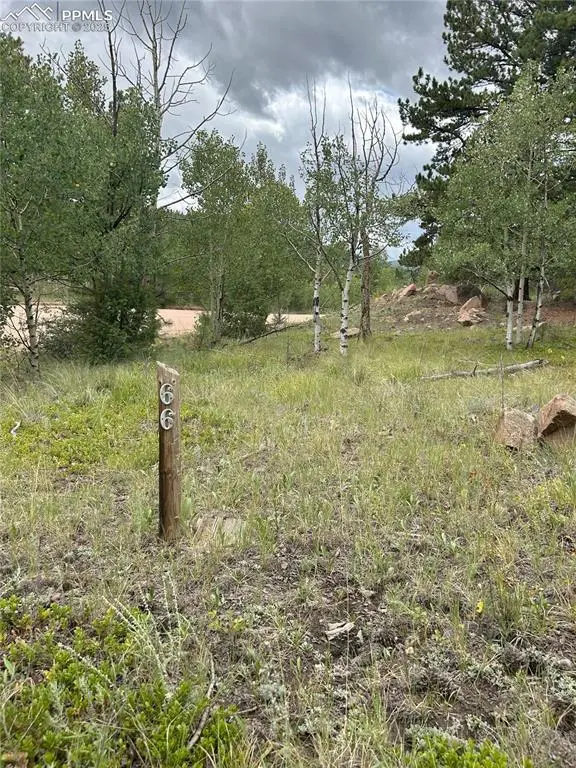 155 County Road 403, Florissant, CO 80816