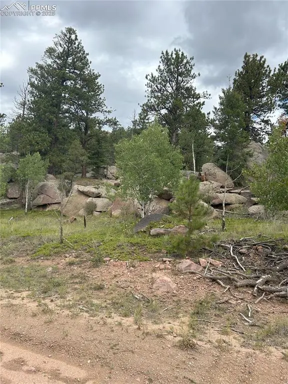 155 County Road 403, Florissant, CO 80816