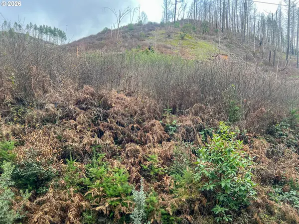 Idleyld Park, OR 97447,0 EVERGREEN LN