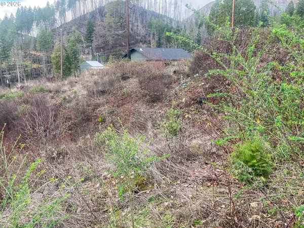 0 EVERGREEN LN, Idleyld Park, OR 97447