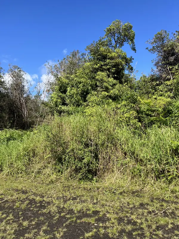 HOLANA ST, Mountain View, HI 96771