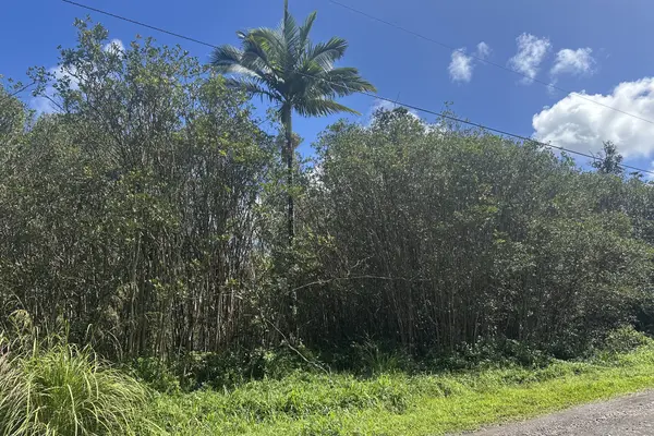 39TH AVE,  Keaau,  HI 96749