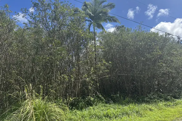 39TH AVE, Keaau, HI 96749