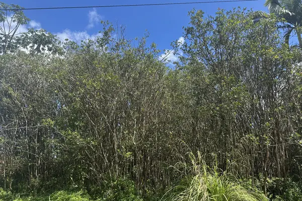 39TH AVE, Keaau, HI 96749