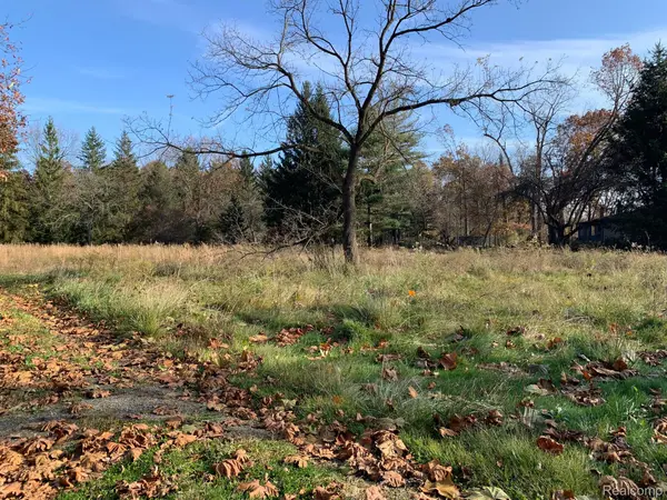 Vacant MERRIMAN RD, Huron Twp, MI 48164