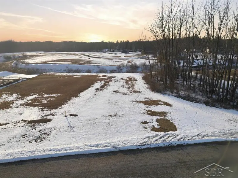 Lot 8 E Shoreline DR, Hope Twp, MI 48628
