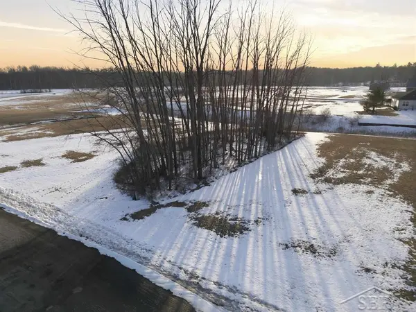 Lot 8 E Shoreline DR, Hope Twp, MI 48628