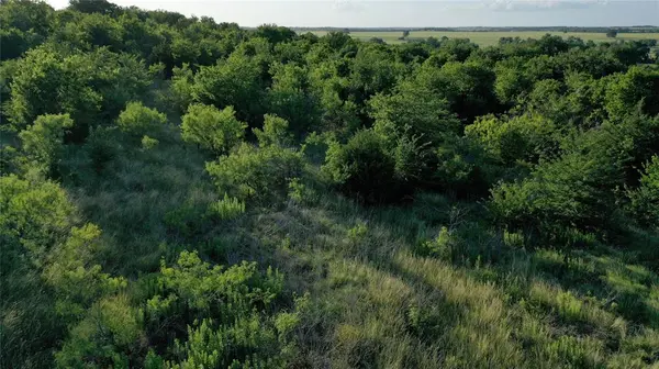 TBD Hwy 7, Mooreville, TX 76524