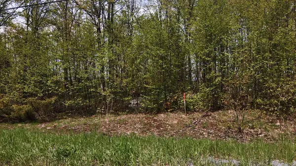 00 Birchview RD, Douro-dummer, ON K0L 2H0