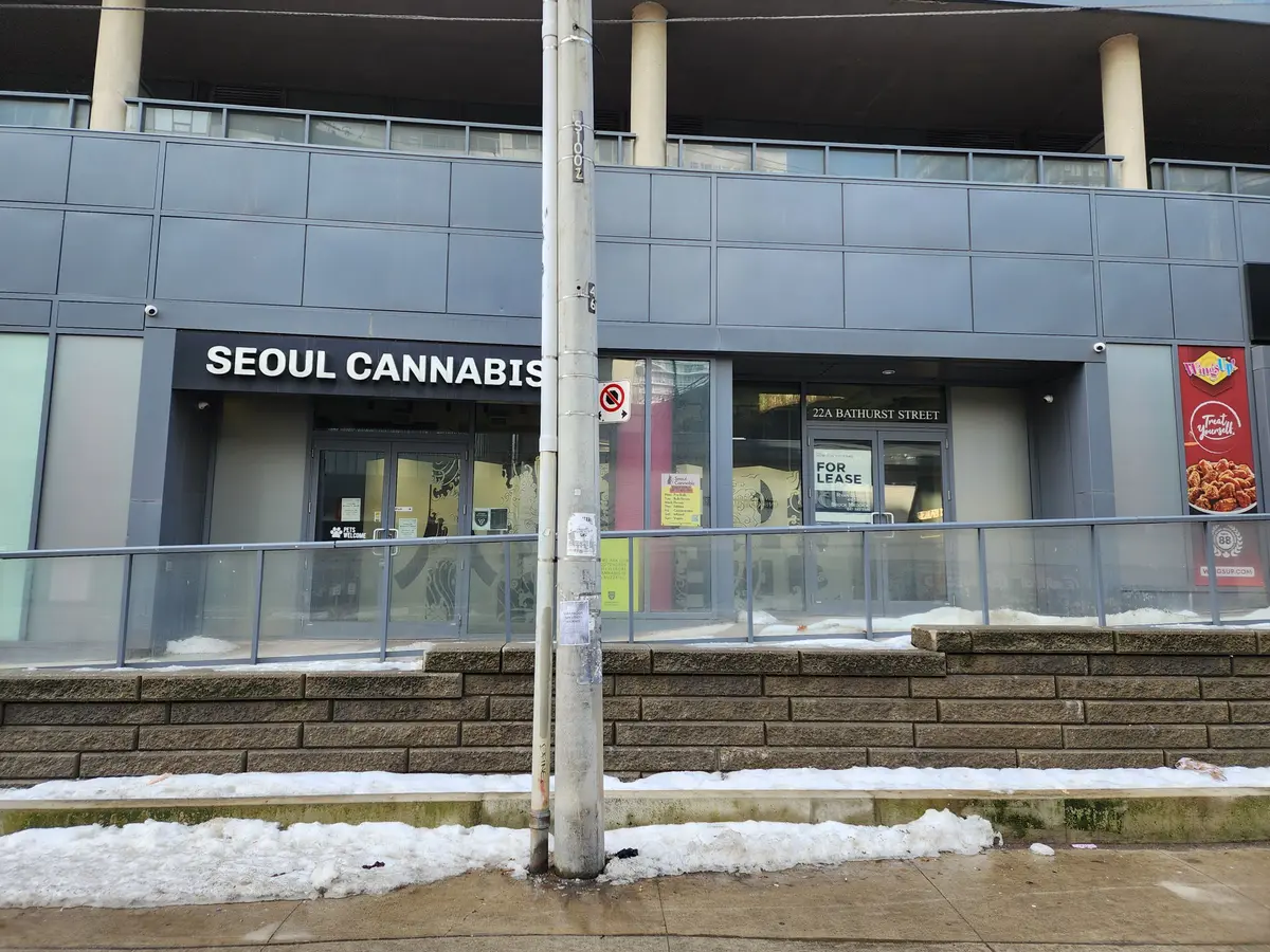 22A Bathurst ST, Toronto C01, ON M5V 0C6