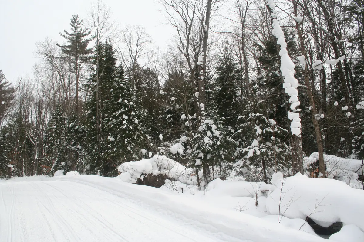 0 PT LT 29 CON 10 N/A, Huntsville, ON P1H 2J3