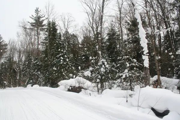 0 PT LT 29 CON 10 N/A,  Huntsville,  ON P1H 2J3