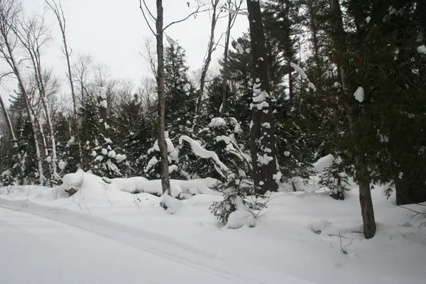 0 PT LT 29 CON 10 N/A, Huntsville, ON P1H 2J3