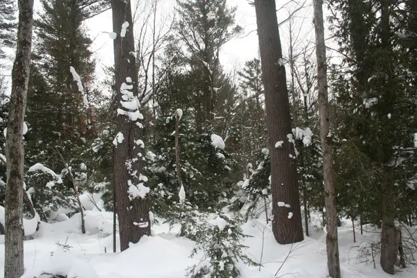 0 PT LT 29 CON 10 N/A, Huntsville, ON P1H 2J3