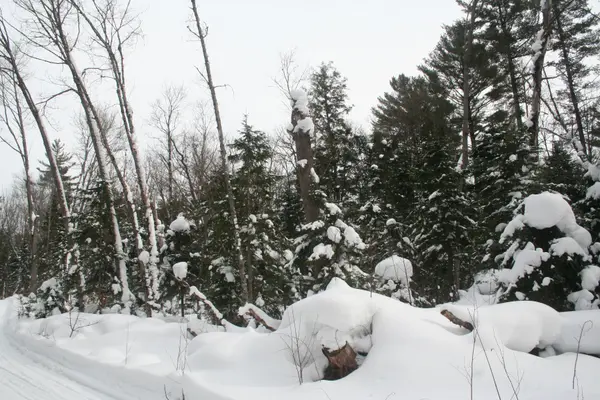 0 PT LT 29 CON 10 N/A, Huntsville, ON P1H 2J3