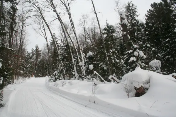 0 PT LT 29 CON 10 N/A, Huntsville, ON P1H 2J3