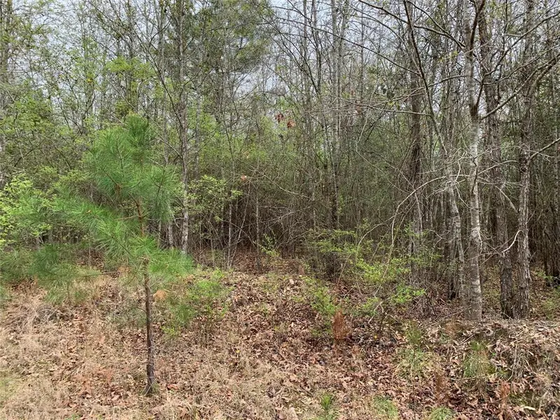 0 Sikes Orchard Road, Jamestown, LA 71045