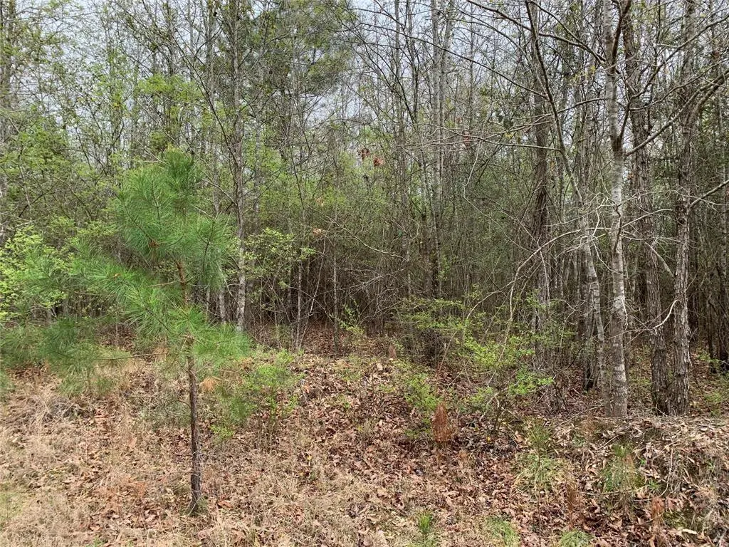 0 Sikes Orchard Road, Jamestown, LA 71045