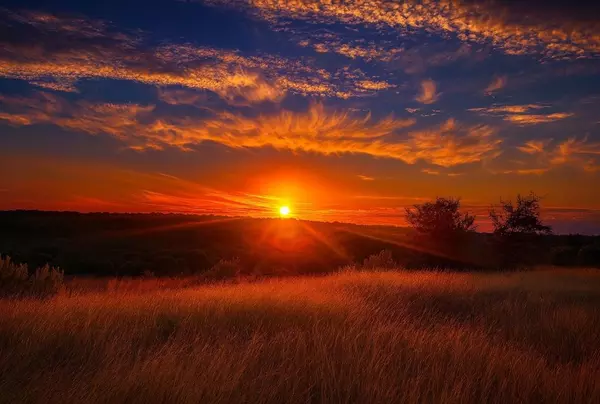 Hye, TX 78635,0000 Gibson-Best Road