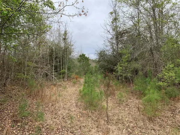 0 Sikes Orchard Road, Jamestown, LA 71045