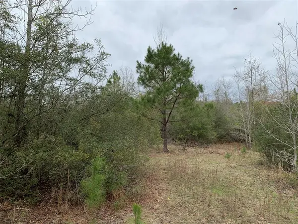 0 Sikes Orchard Road, Jamestown, LA 71045