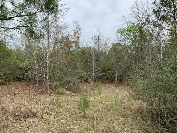 0 Sikes Orchard Road, Jamestown, LA 71045