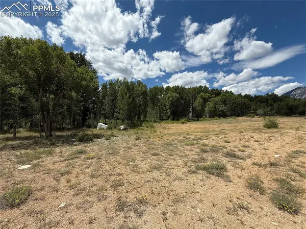 17566 Trout CIR, Buena Vista, CO 81211