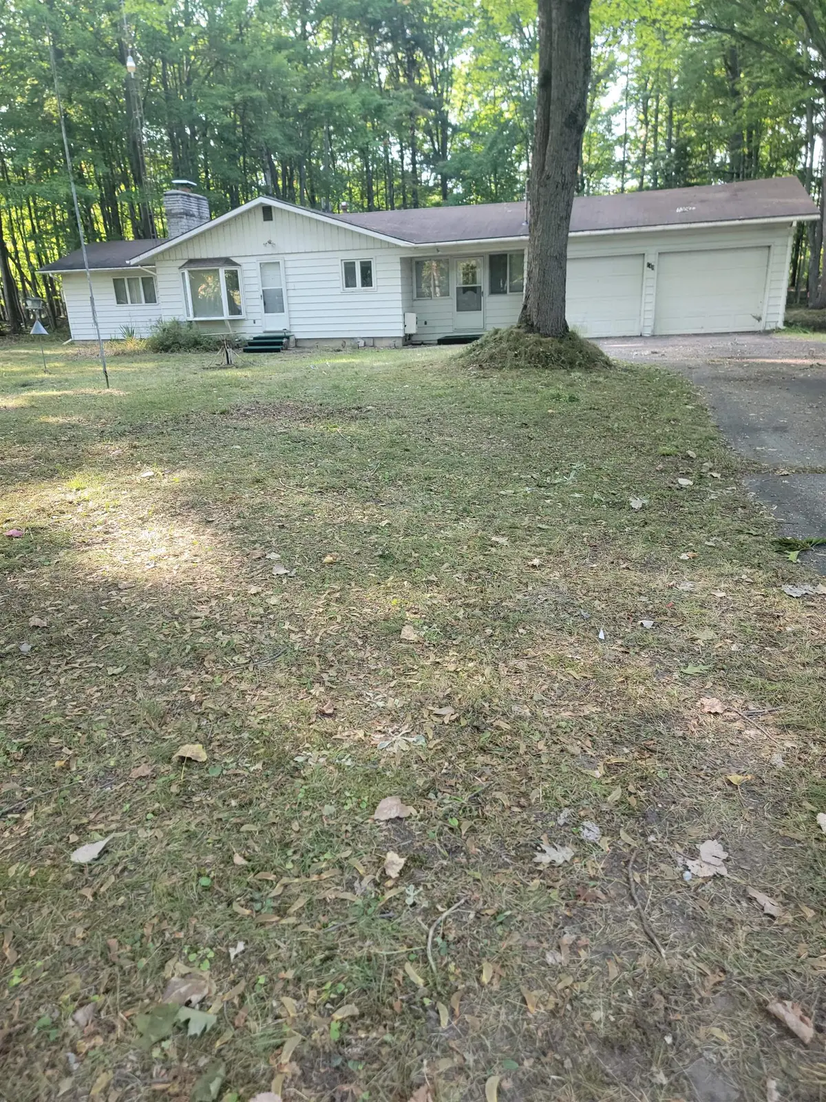 149 Deer Run DR, Whitney Twp, MI 48703