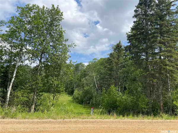 24 Tranquility DRIVE, Big River Rm No. 555, SK S0J 0E0