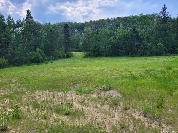 24 Tranquility DRIVE, Big River Rm No. 555, SK S0J 0E0