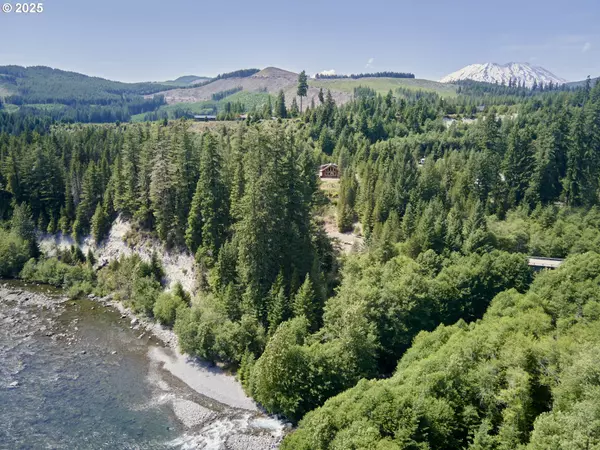 Cougar, WA 98616,192 Sasquatch WAY