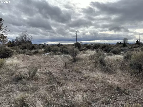 Christmas Valley, OR 97641,Wonderland ST #6200