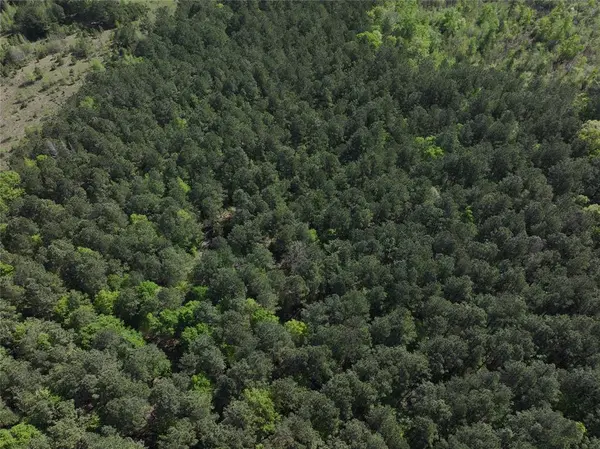 0 Highway 77 Lot 1 E, Atlanta, TX 75551