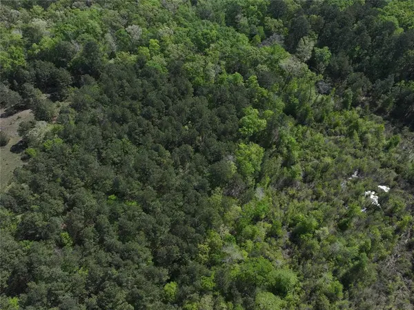 0 Highway 77 Lot 1 E, Atlanta, TX 75551