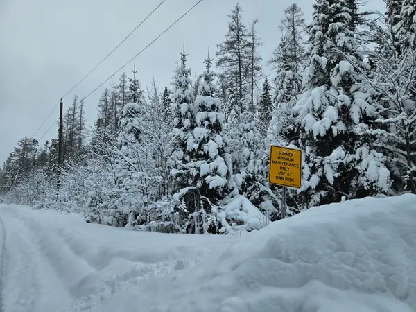 462 Cardwell Lake RD, Huntsville, ON P1H 1E7