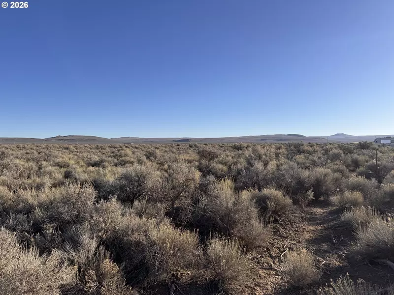 N Fandango RD, Christmas Valley, OR 97641