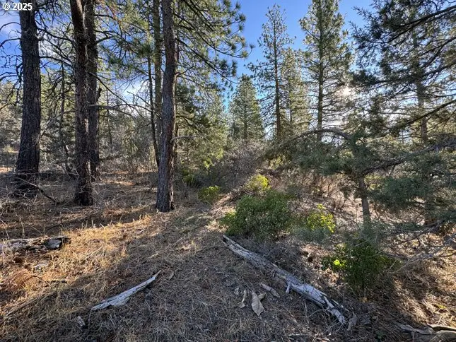 Hummingbird DR #13, Bonanza, OR 97623