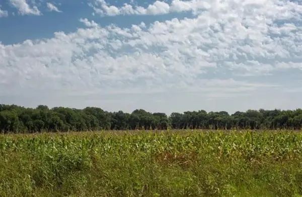 764 HCR 3422 County Road 3422, Bynum, TX 76631