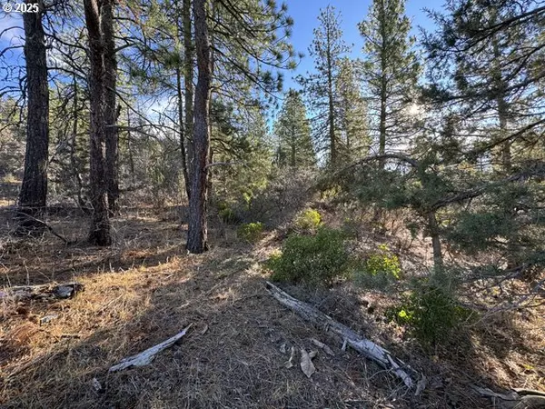 Bonanza, OR 97623,Hummingbird DR #13