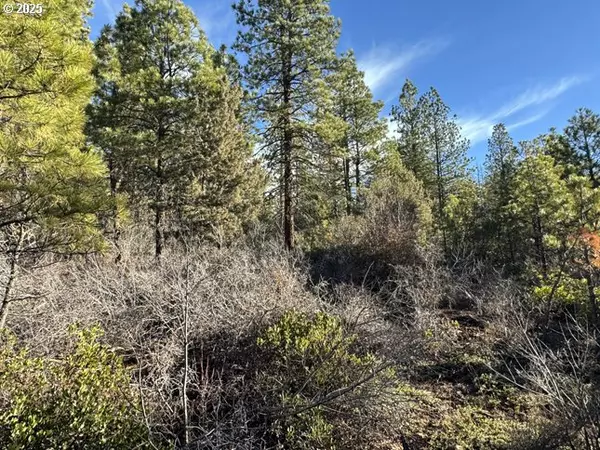 Bonanza, OR 97623,Hummingbird DR #13