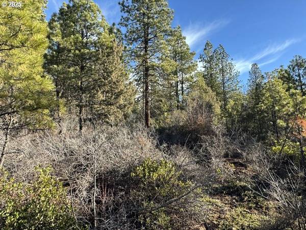 Hummingbird DR #13, Bonanza, OR 97623