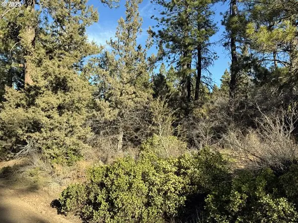 Hummingbird DR #13, Bonanza, OR 97623