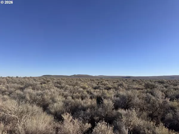 Christmas Valley, OR 97641,N Fandango RD