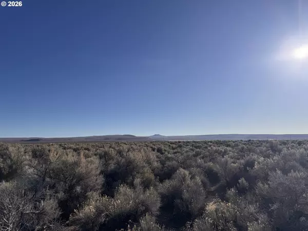 Christmas Valley, OR 97641,N Fandango RD