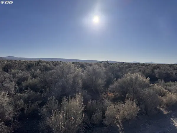 N Fandango RD, Christmas Valley, OR 97641