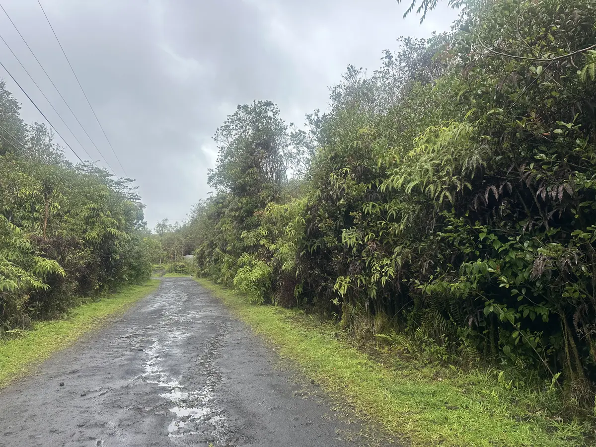 PALM TREE DR, Mountain View, HI 96771