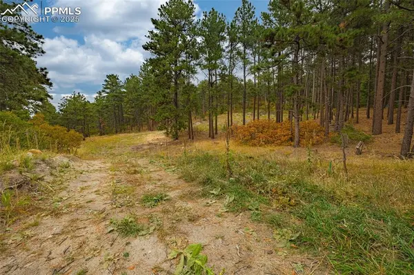 14420 S Perry Park RD, Larkspur, CO 80118